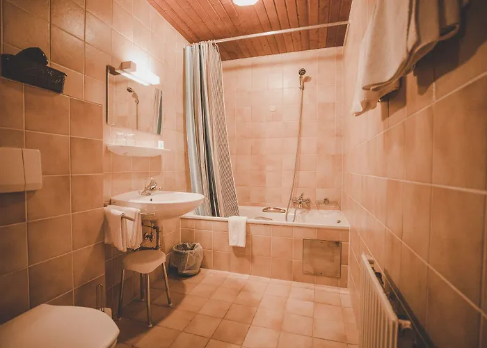 Kurhotel&hotel Mozart 3*