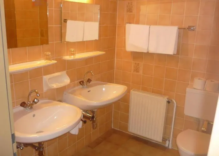 & Mozart 巴德加斯坦